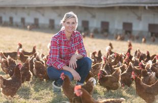 Farmer feeding her chickens